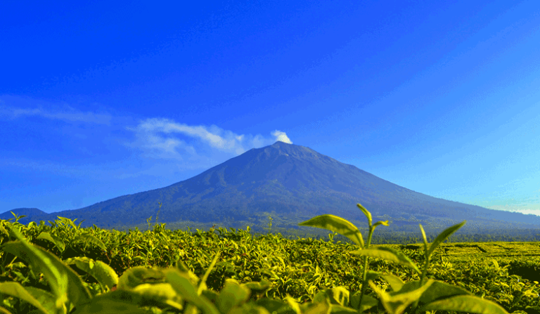 Gunung Kerinci ( Provinsi Jambi )